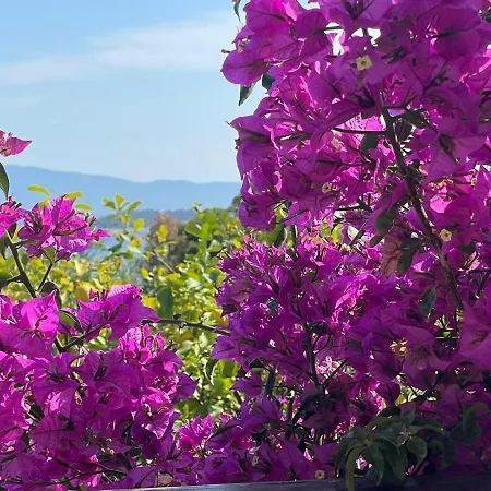 Viva Mini-hôtel Ouranoupoli