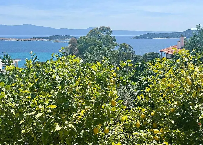 Viva オウランオウポリ