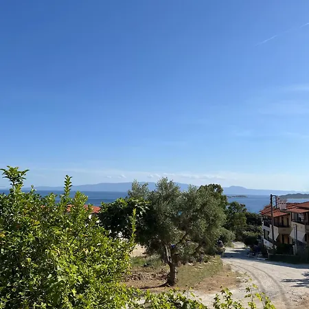 Viva Inn *