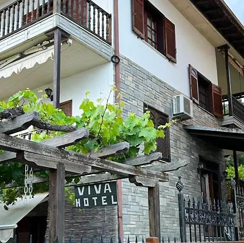 Viva Inn *